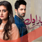 Haara Dil Ost.jpg 1024x575