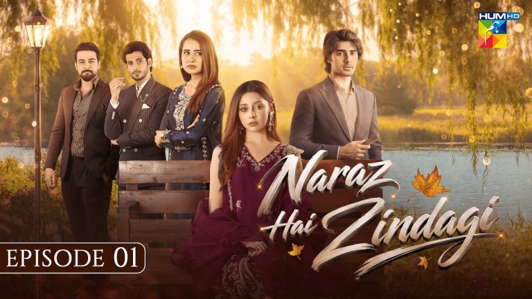 maxresdefault 250